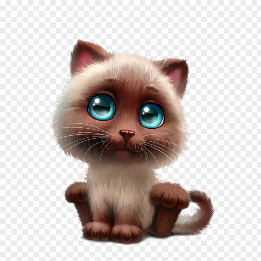 瞪着大眼睛 Cat Siamese Birman Kitten Cuteness Clip Art PNG