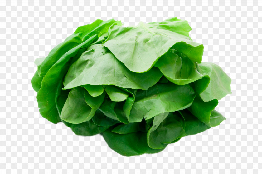 Fresh Vegetables Romaine Lettuce Vegetable PNG