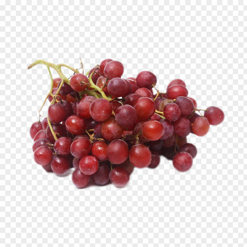 Guelder Rose Cherry Globe Cartoon PNG