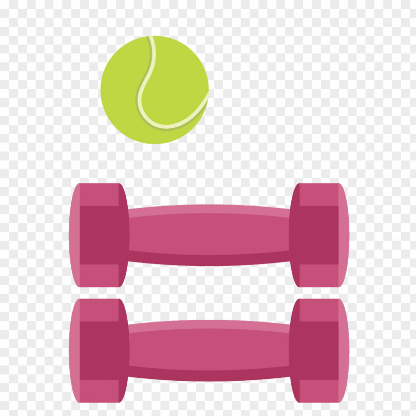 Vector Rugby And Barbell Dumbbell Physical Exercise Euclidean PNG