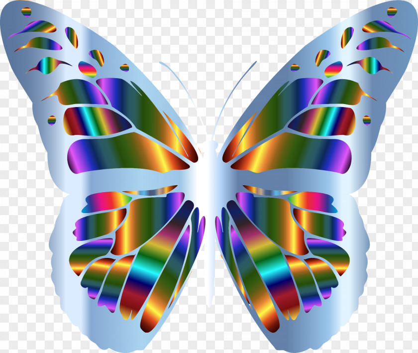 Butterflies Monarch Butterfly Iridescence Rainbow Clip Art PNG