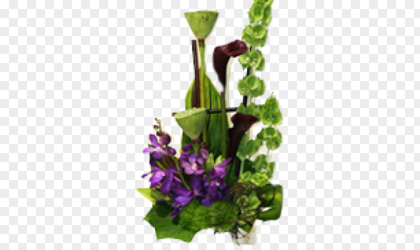 Callalily Arum-lily Cut Flowers Plant Stem Orchids PNG