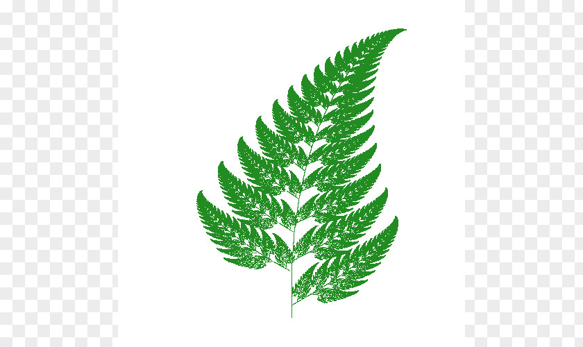 Download Ferns Icon Barnsley Fern Fractal Iterated Function System Chaos Theory PNG