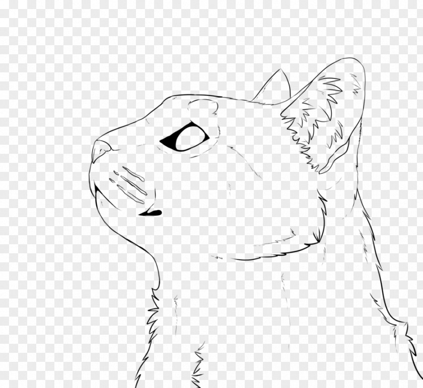 Kitten Line Art Siamese Cat Bengal Drawing DeviantArt PNG