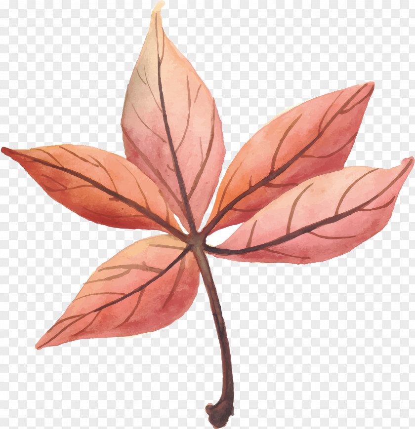 Pink Autumn Leaves Leaf Euclidean Vector PNG