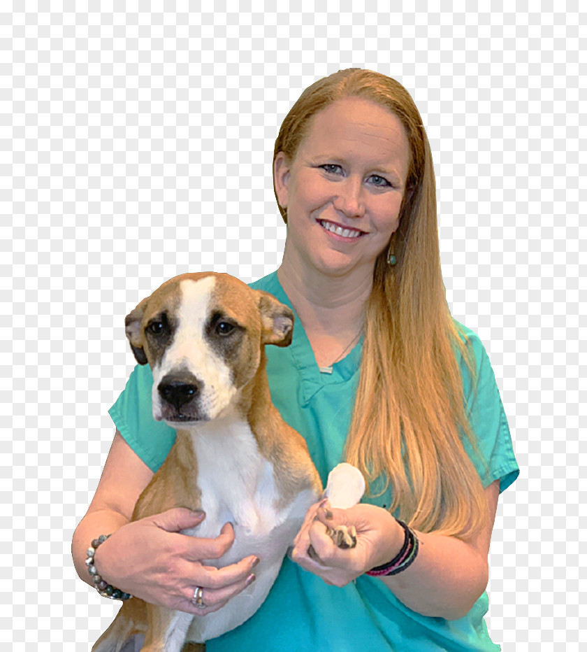 Rare Breed Dog Puppy Love Companion Veterinarian PNG