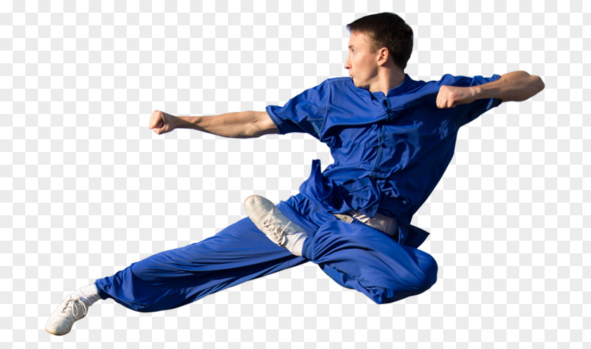 Wushu Taolu Sanshou Tai Chi Martial Arts PNG