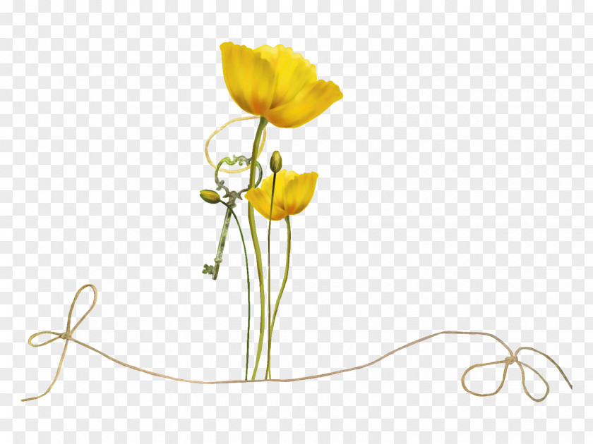 Beautiful Childhood Floral Design Flower Yellow PNG