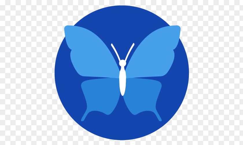 Blue Butterfly Dating Coach Coaching Lifestyle Guru Insect PNG