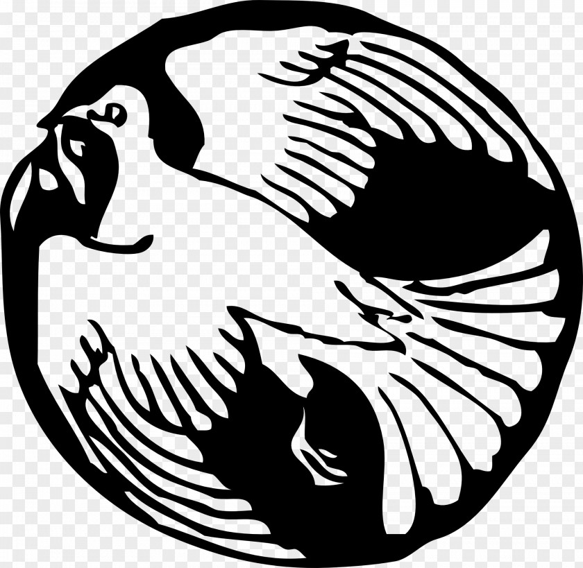 Flying Pigeon Creative Columbidae Doves As Symbols Clip Art PNG
