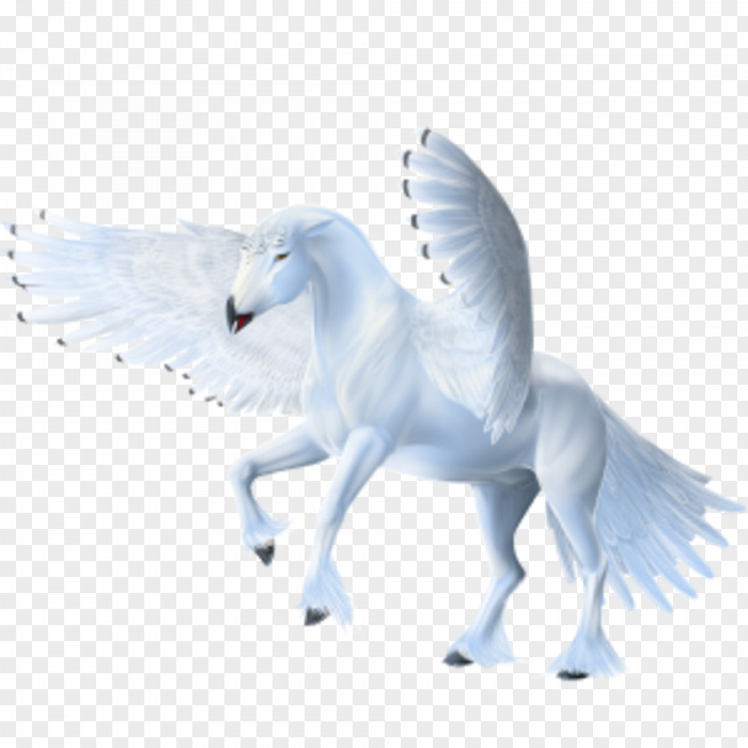 Pegasus Howrse Arabian Horse PNG
