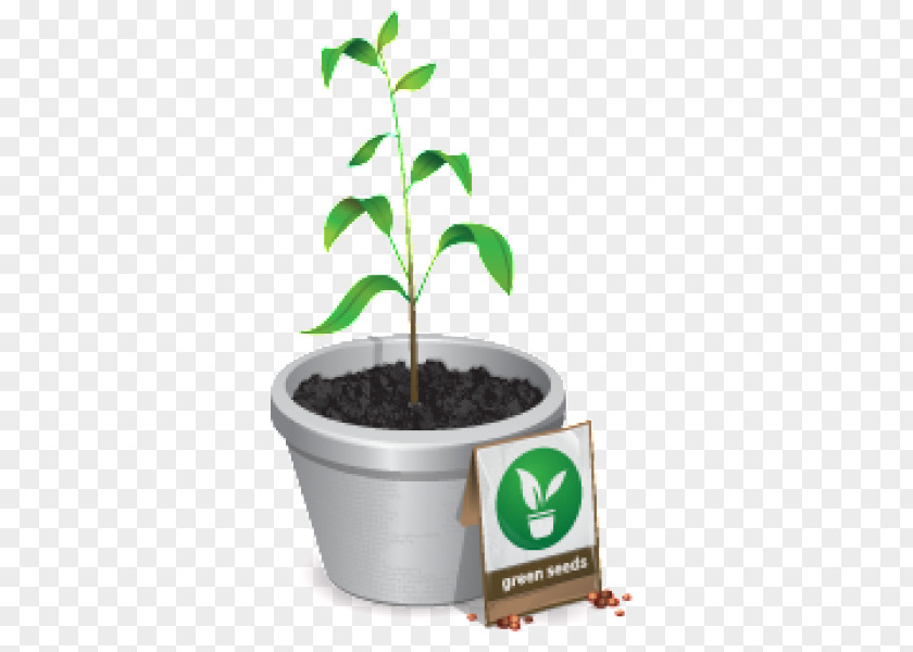 Plant PNG