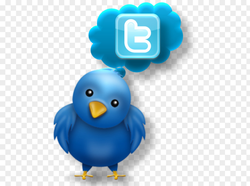 Scottish Terrier Social Media Blog Internet SoftNews Net SRL Twitter PNG