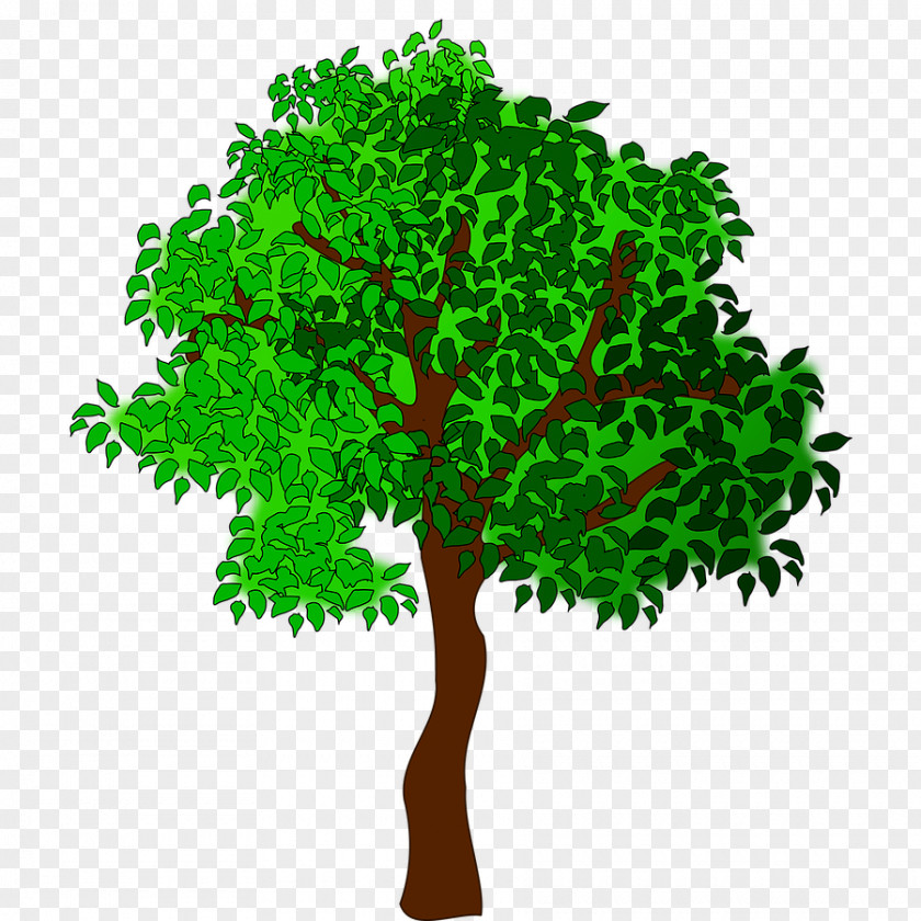 Trees Summer Tree Clip Art PNG