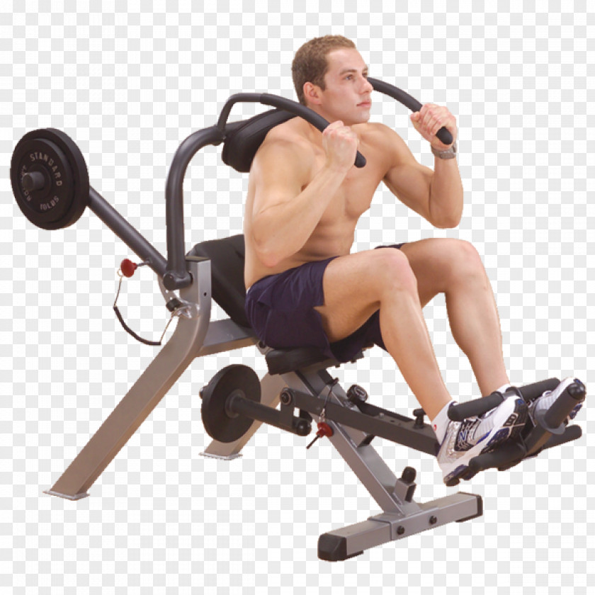 Bench Crunch Abdominal Exercise Sit-up Human Body PNG