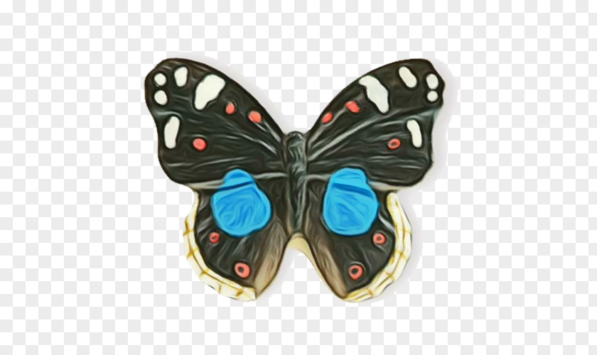 Emperor Moths Shoe Monarch Butterfly PNG