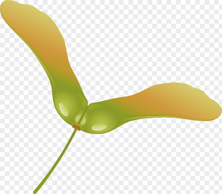 Green Yellow Leaf Spoon Plant PNG