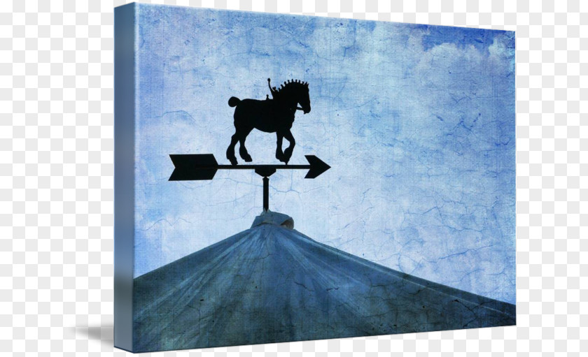 Horse Stock Photography Silhouette Sky Plc PNG