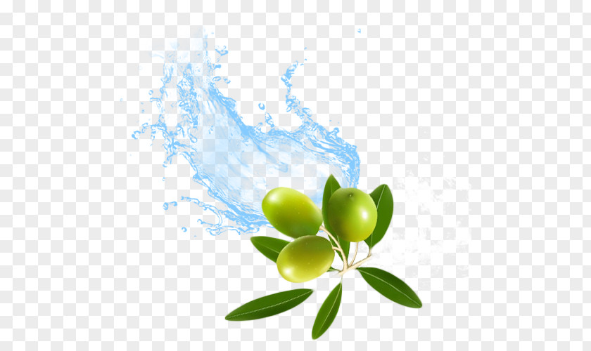 Olive Replenishment Water Surfactant KK India Petroleum Specialities Private Limited PNG