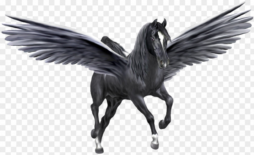 Pegasus Unicorn Clip Art PNG