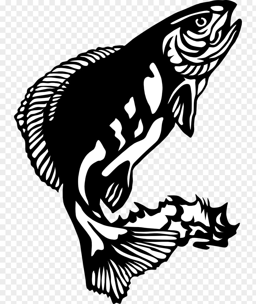 Stylized Fish Arctic Free Content Clip Art PNG