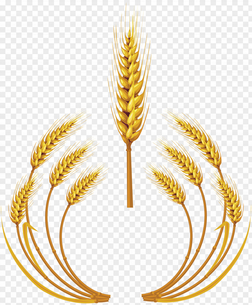 Wheat Royalty-free Ear Clip Art PNG