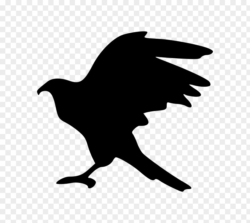 Bird Hawk Silhouette Clip Art PNG