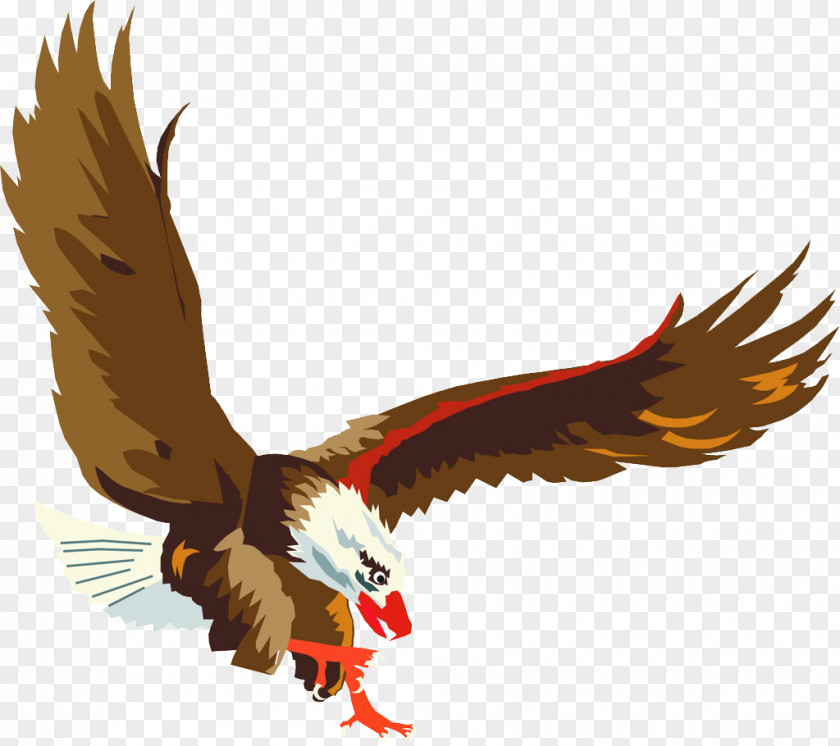 Eagle Philadelphia Eagles PNG