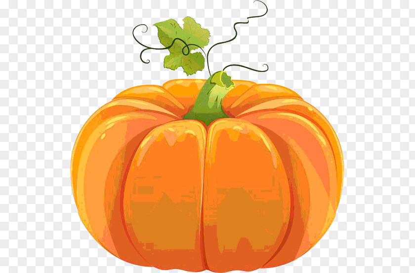 Fall Vector Pumpkin Cucurbita Pepo Clip Art PNG
