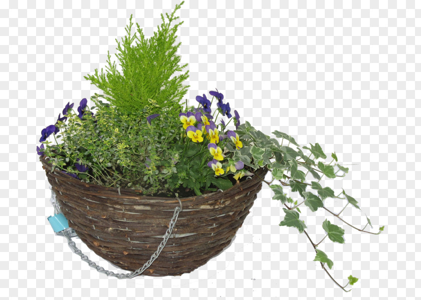 Hanging Basket Hare Hatch Sheeplands Garden Flowerpot Nursery PNG