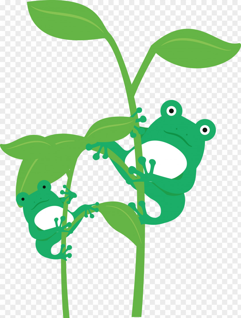 Leaf Plant Stem Frogs Meter Cartoon PNG