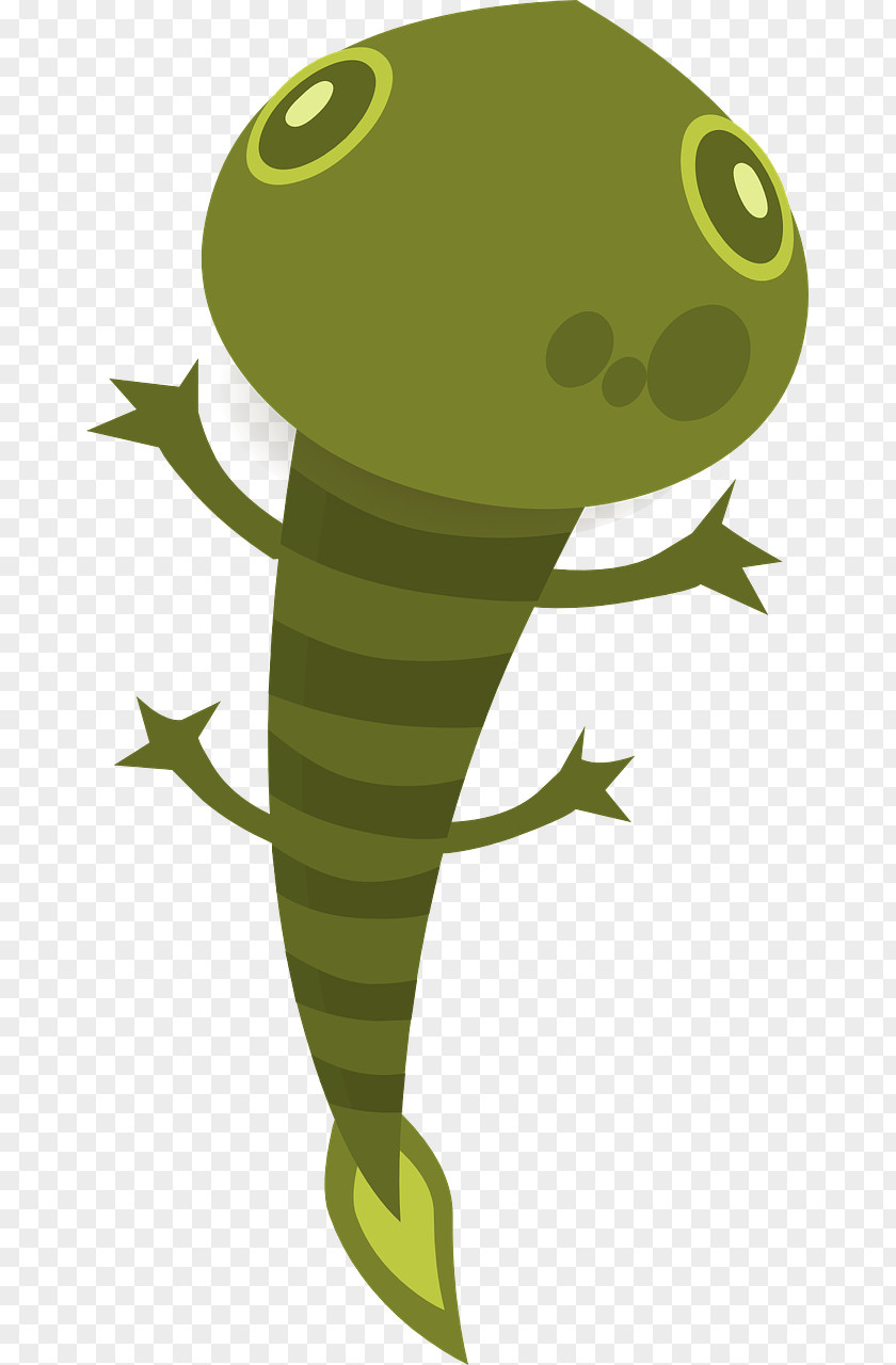 Lizard Reptile Frog Animal Clip Art PNG