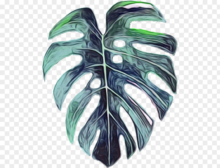 Monstera PNG