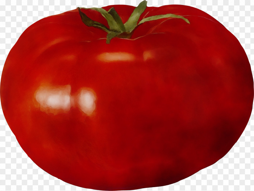 Nightshade Family Local Food Tomato PNG