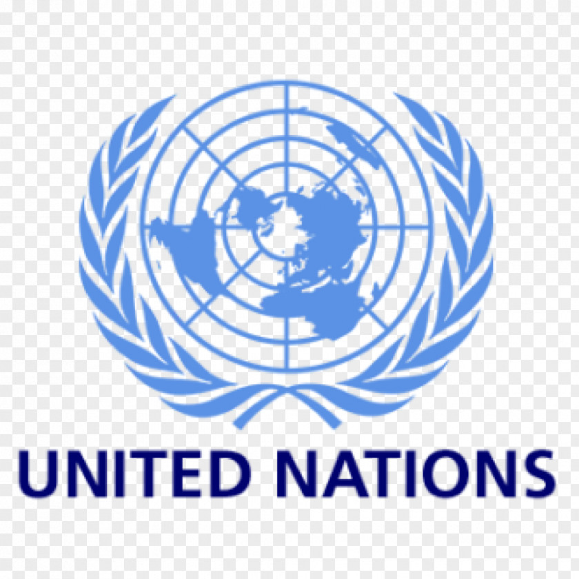 United Nations Office At Nairobi Model Organization Economic And Social Council PNG