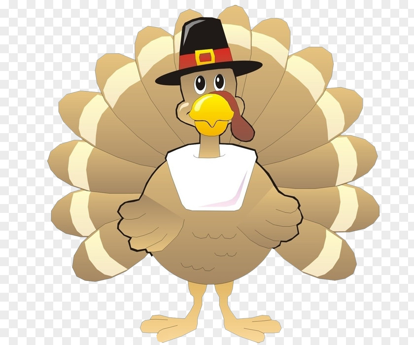Wearing A Hat Cartoon Turkey PNG