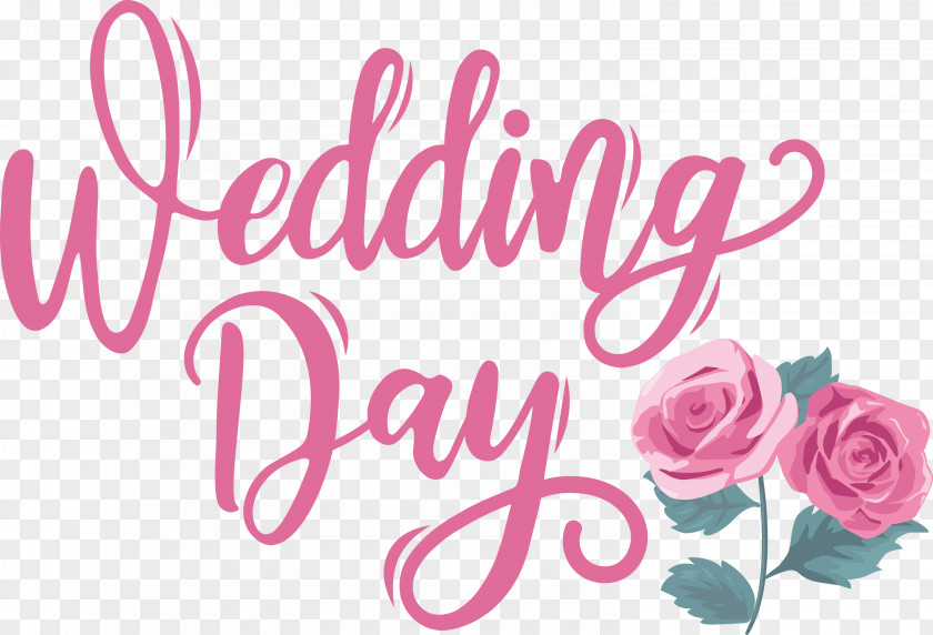 Wedding Day Wedding PNG