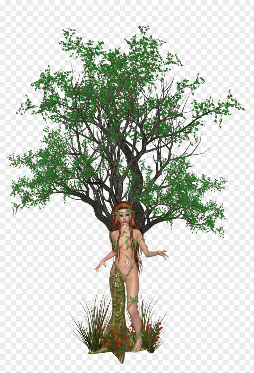 Bamboo Tropical Woody Bamboos Dryad Tree Clip Art PNG