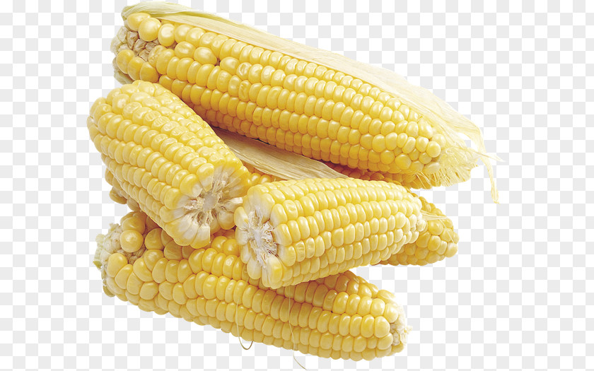 Corn On The Cob Maize Sweet Food PNG