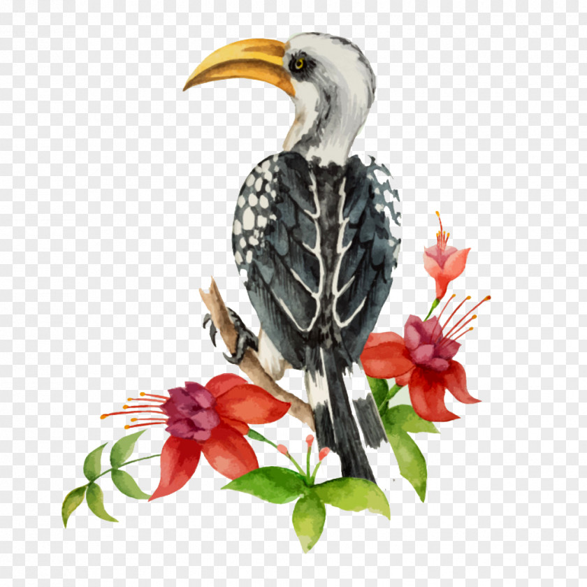 Creative Hand-painted Watercolor Birds Bird Painting Royalty-free Toucan PNG