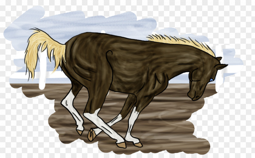 Desert Dream Mustang Stallion Rein Pack Animal Halter PNG