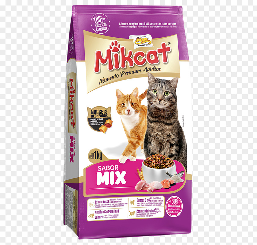 Kitten Cat Dog Pet Food PNG
