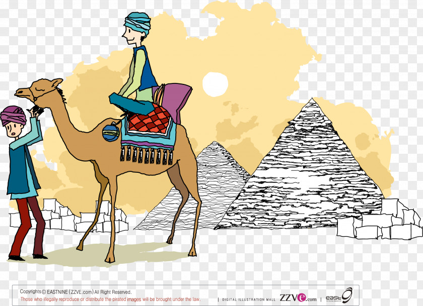 Pyramid Camel Photography Illustration PNG