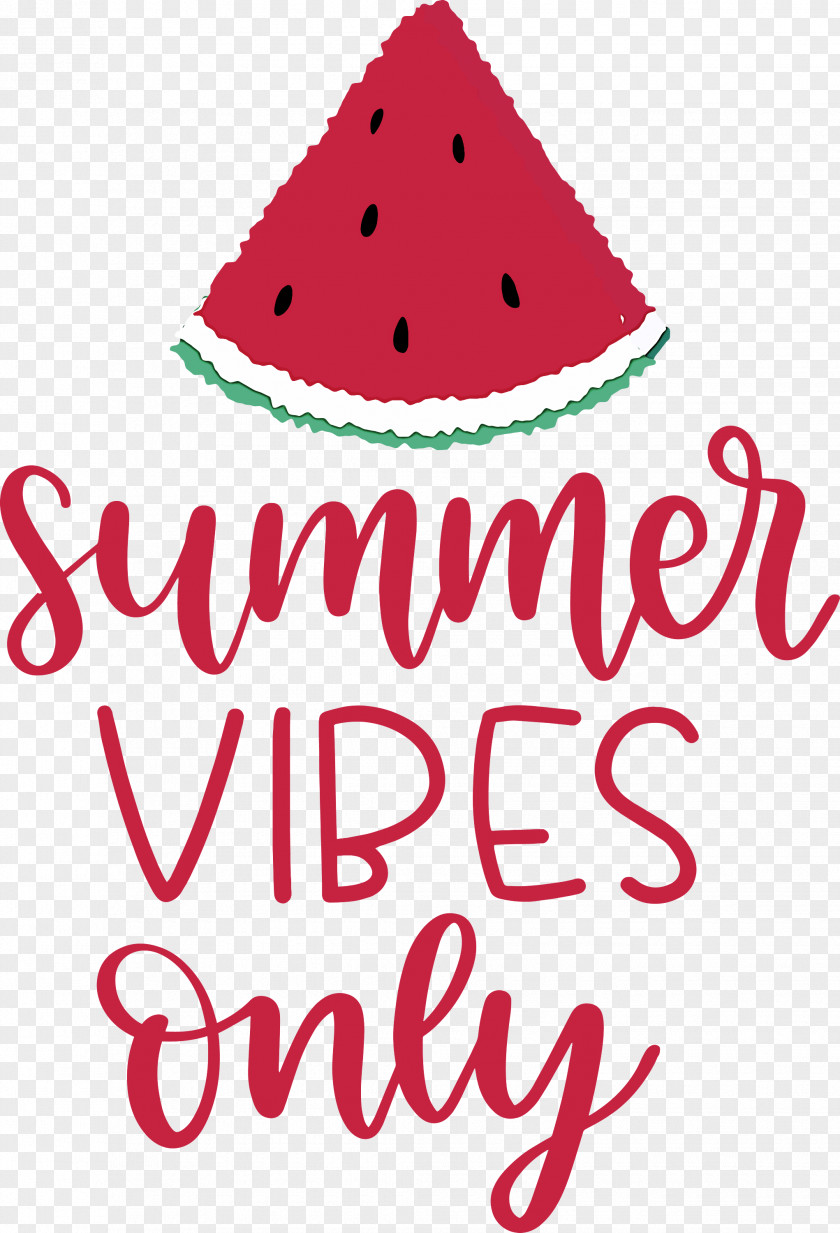 Summer Vibes Only PNG