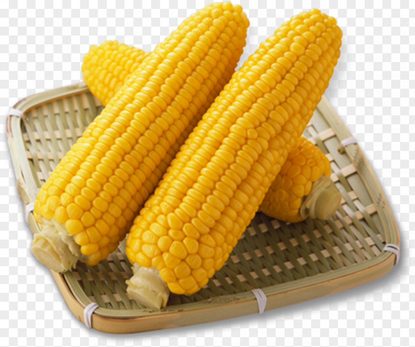 Sweet Corn Waxy On The Cob Eating Food Seed PNG