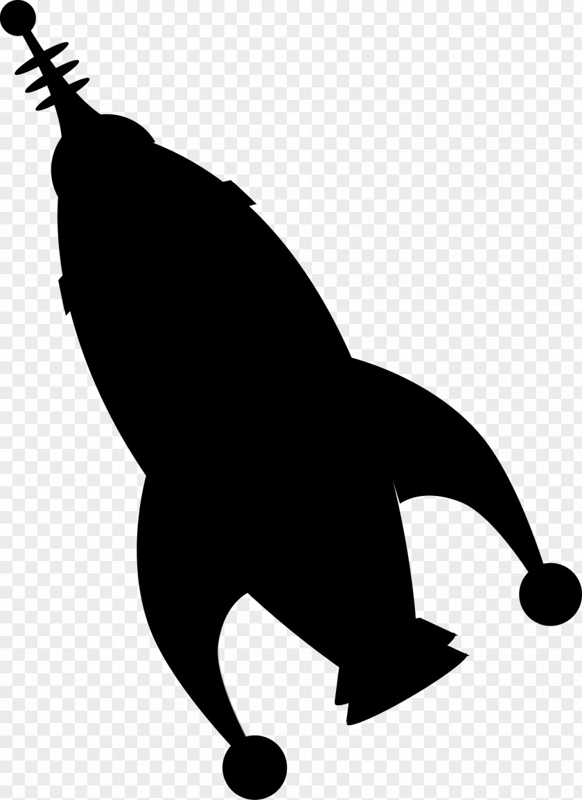 Whiskers Cat Sea Lion Dog PNG