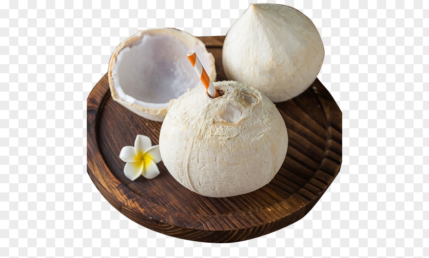 Coconut Baozi Milk U6240u6709u4ebau554fu6240u6709u4eba Auglis PNG