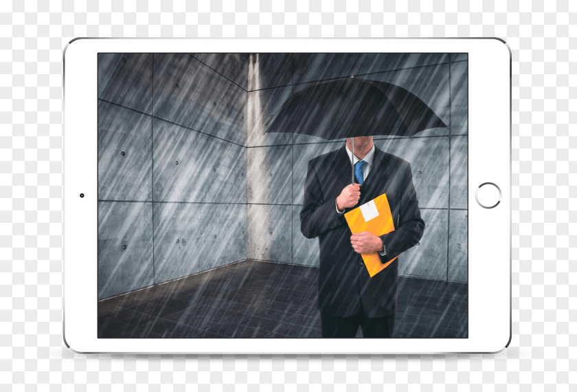 Coconut Grove Risk Insurance Company Stock Photography ISO 31000 PNG