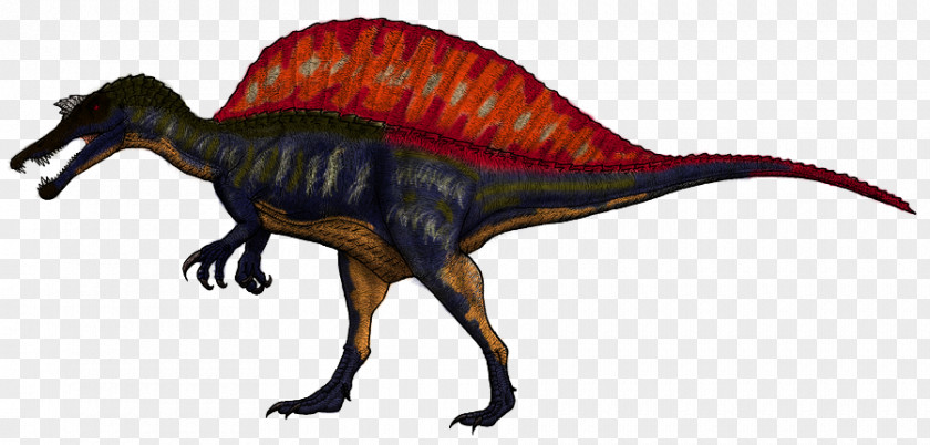 Dinosaur Spinosaurus Baryonyx Suchomimus Irritator Ichthyovenator PNG