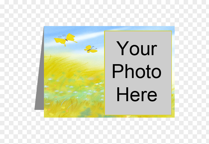 Flower Greeting & Note Cards Picture Frames Grab Bar Font Rectangle PNG
